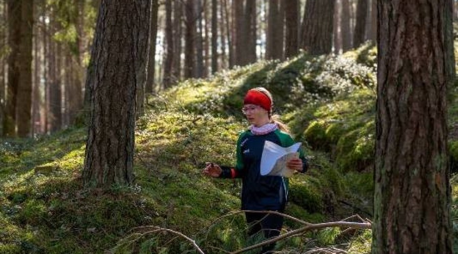 wyspa o cup sztutowo (38)