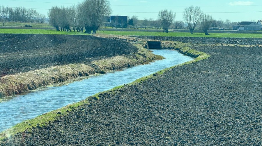 zulawski zespol parlamentarny MARKUSY (5)