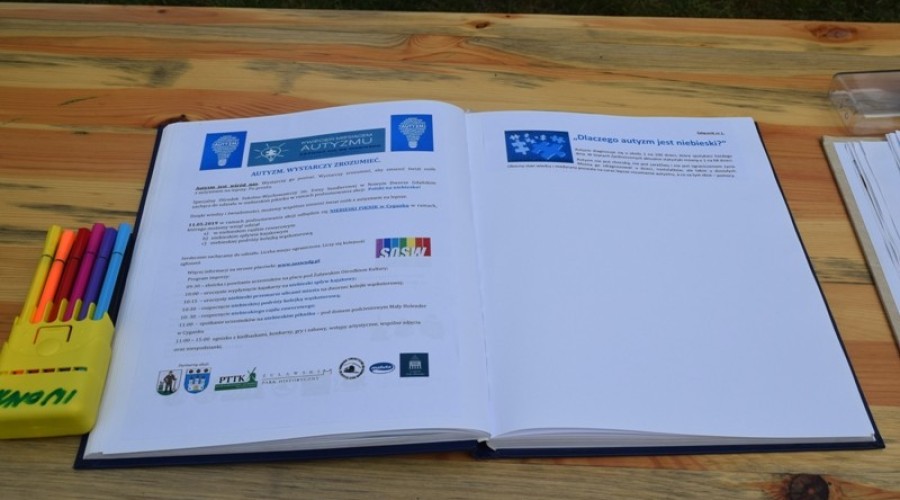 Niebieski piknik autyzm (104)