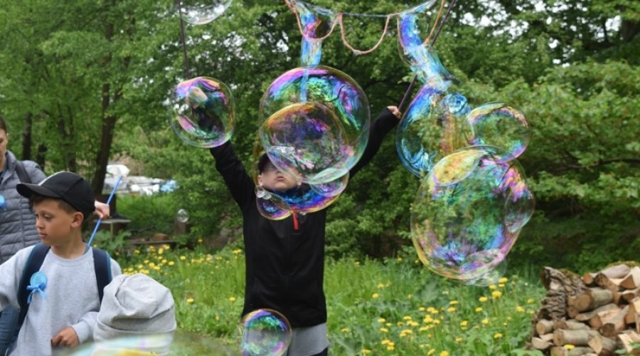 Niebieski piknik autyzm (156)