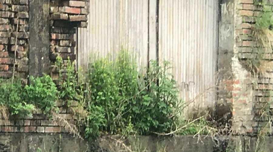 ściana wwodzie remont starostwo powiatowe (4)