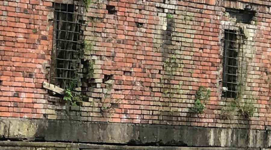 ściana wwodzie remont starostwo powiatowe (7)