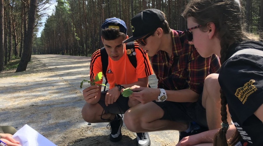 maratonix z głową (11)