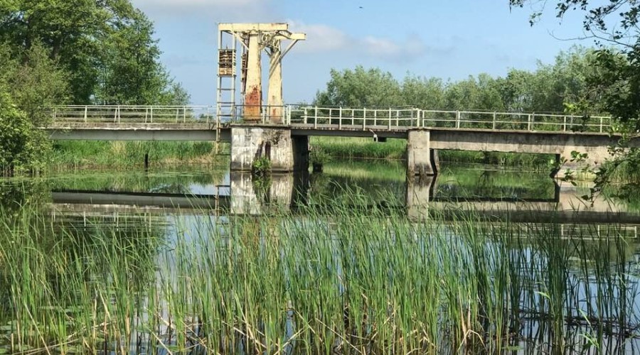 kajakiem przez zuławy gmina stegna (12)