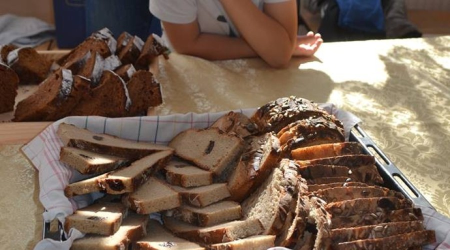 piknik-na-zdrowie-sztutowo-3