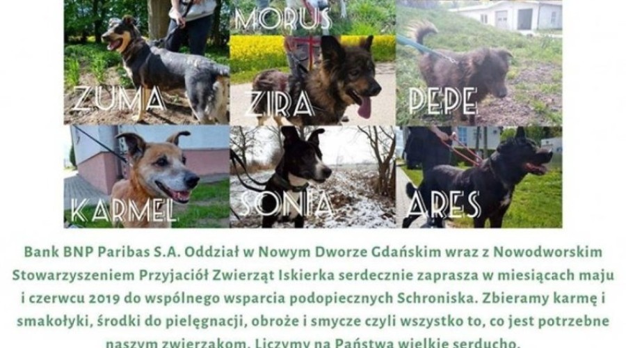 dzień dziecka nowy dwór gd (2)