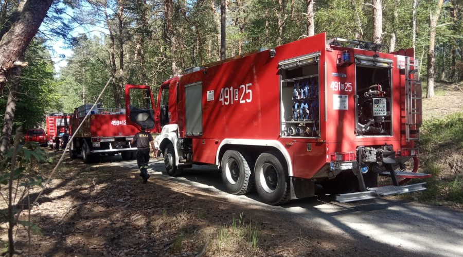 2 pożary lasu mierzeja wiślana (12)