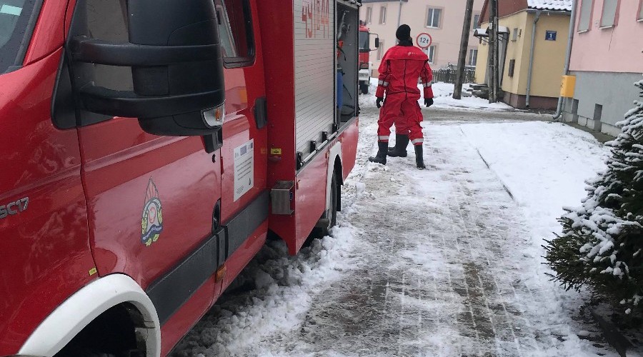 50648337_251793412386141_5760698059117821952_n