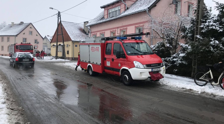 51116782_369452533834870_3452350237862002688_n