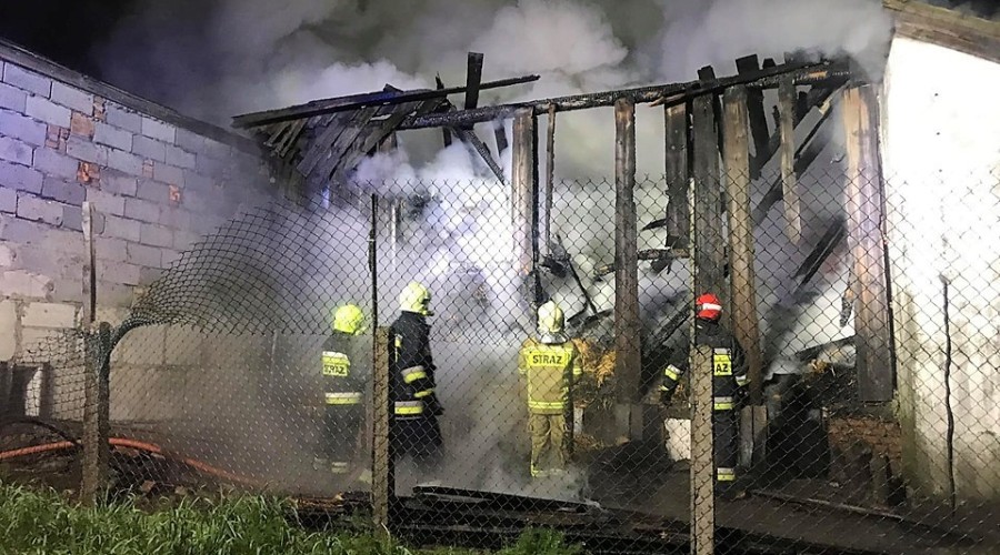 Rowerowy Maj 2019 (13)