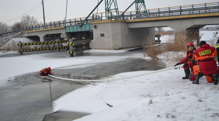 ćwiczenia sztutowo  (10)