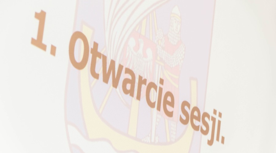 VII Sesja Rady Gminy Stegna (6)