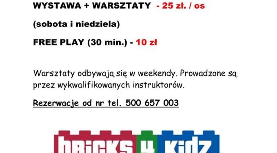 wystawa klocków lego (3)
