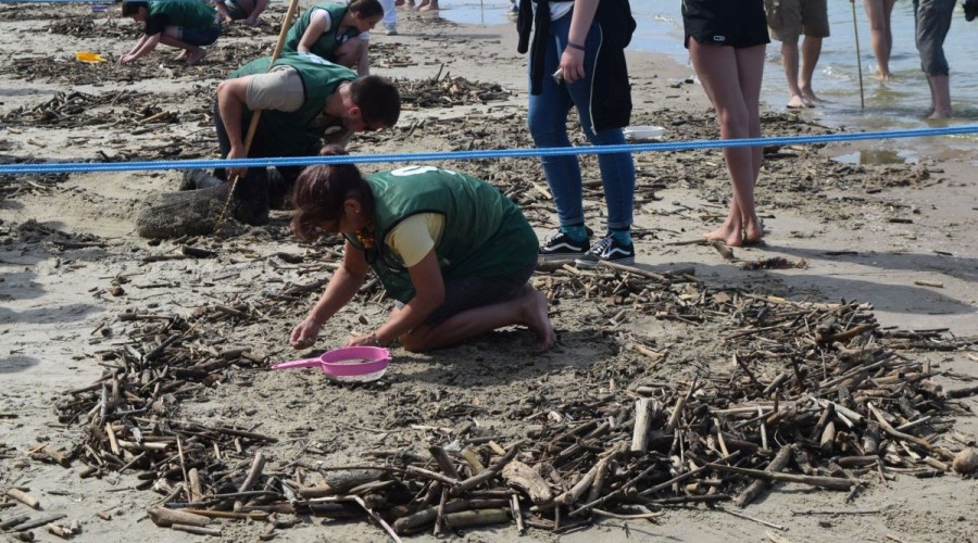 Mistrzostwa Świata w Poławianiu Bursztynu 2017 (60)