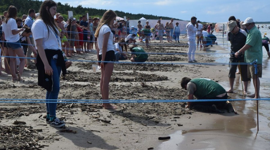 Mistrzostwa Świata w Poławianiu Bursztynu 2017 (62)