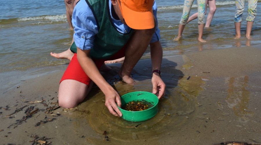 Mistrzostwa Świata w Poławianiu Bursztynu 2017 (63)