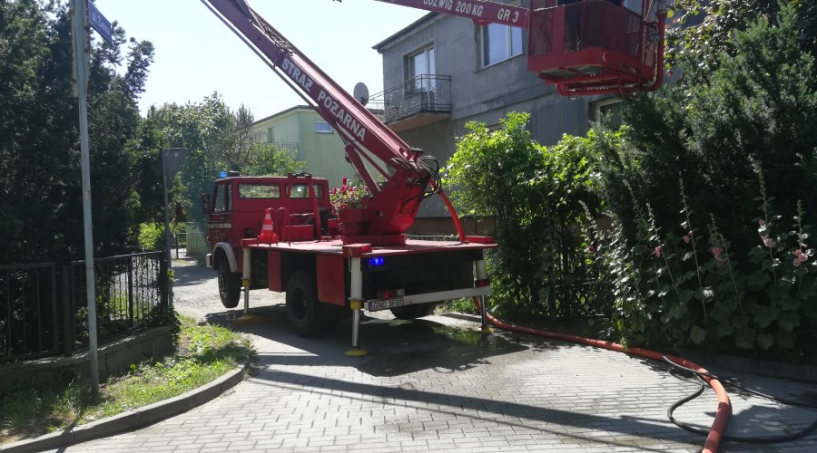 usuwanie gniazda szerszeni (3) osp sztutowo