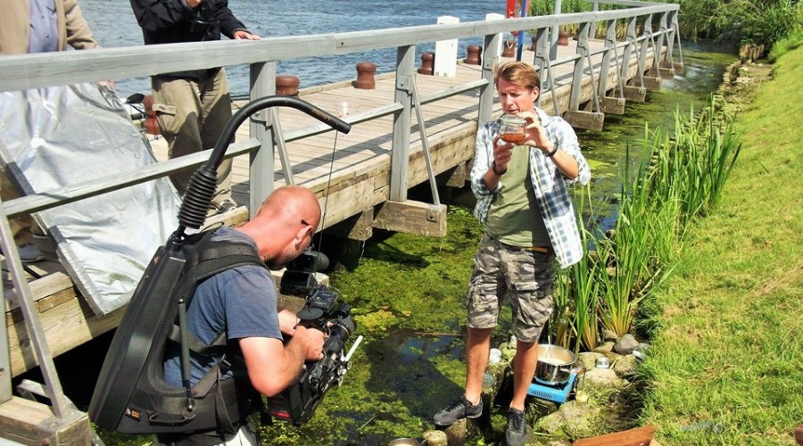 okrasa żuławy fot. jerzy złoty (5)