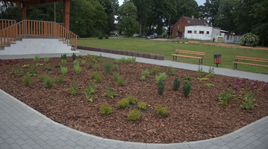 Drewnica Zielona Wyspa nowy