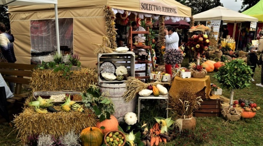 dożynki ostaszewo (20)