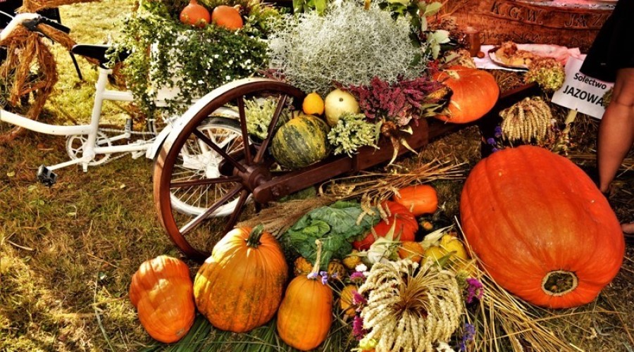 dozynki żulawskie Jazowa (21)