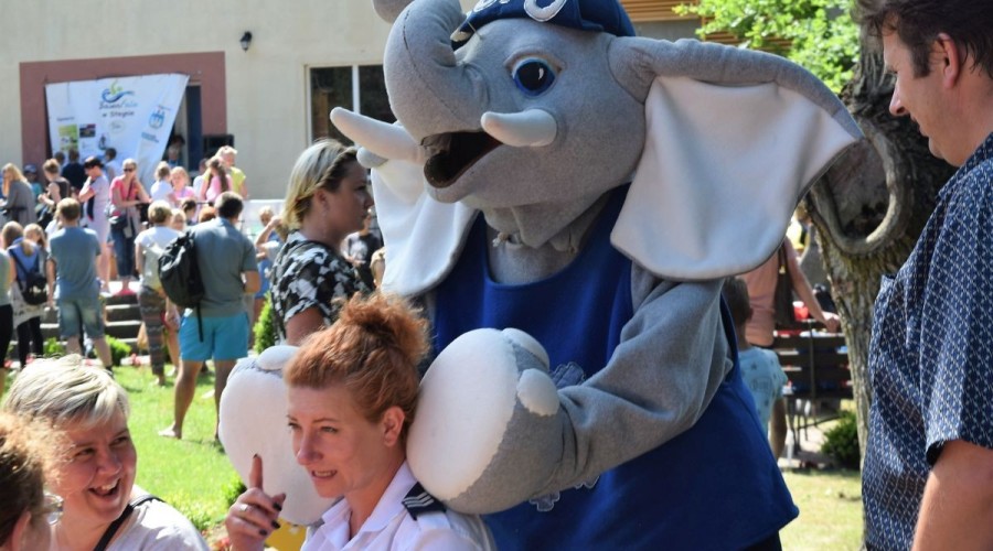 Stegna. Festyn zawody plywackie (19)