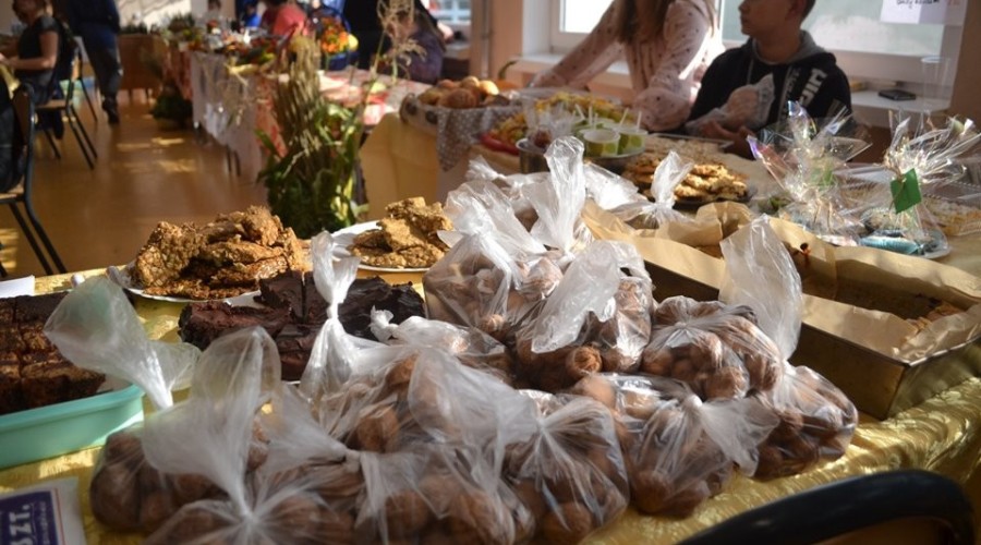 71312475_985330861830361_8590344172966248448_n