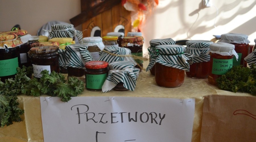 71394034_985333258496788_6667603081095544832_n