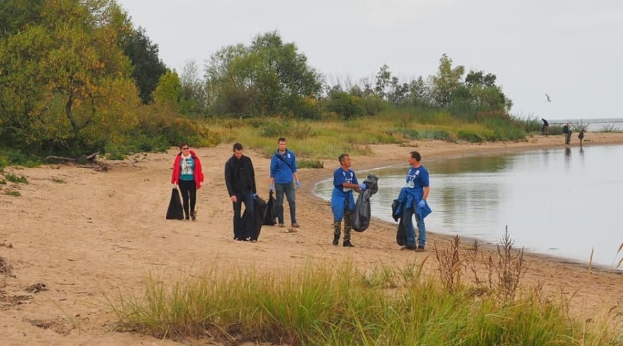 sprzątanie mewia łacha (4)