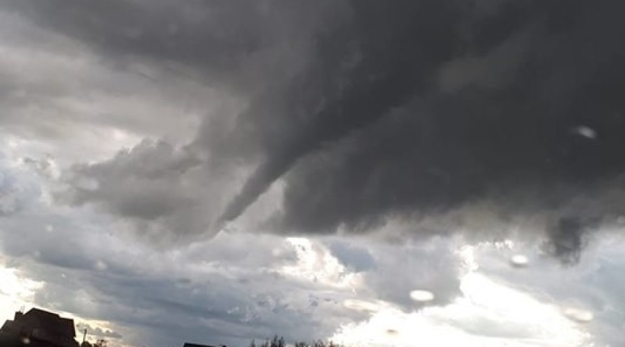 fot.Sokalska-Kozłowska Elżbieta