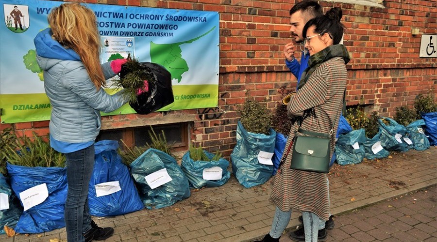 akcja drzewko za butelkę starostwo (15)