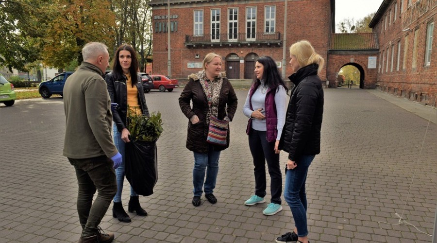 akcja drzewko za butelkę starostwo (17)