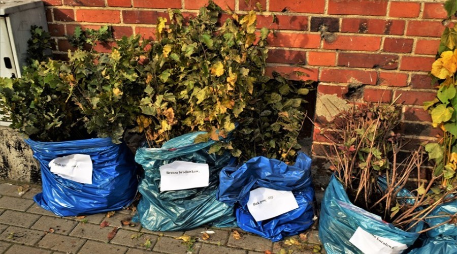 akcja drzewko za butelkę starostwo (2)