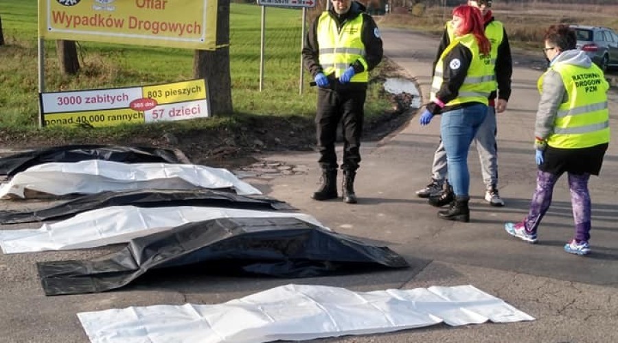 Światowy Dzień Ruchu Drogowego – happening przy pomniku ofiar (5)