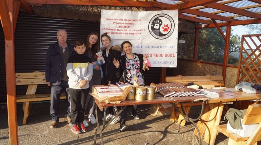 V kąpiel morsów w Kątach Rybackich. Sportowy weekend w Gminie Sztutowo (1)