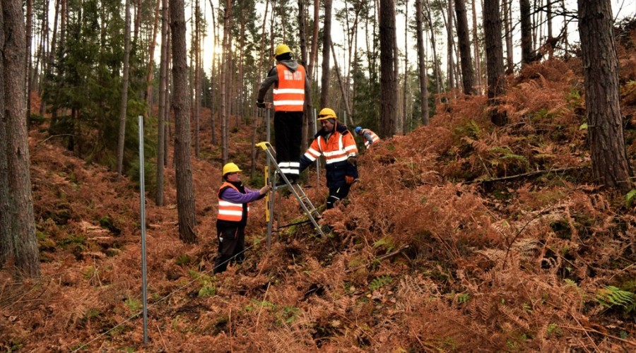 przekop mierzei wislanej (14)