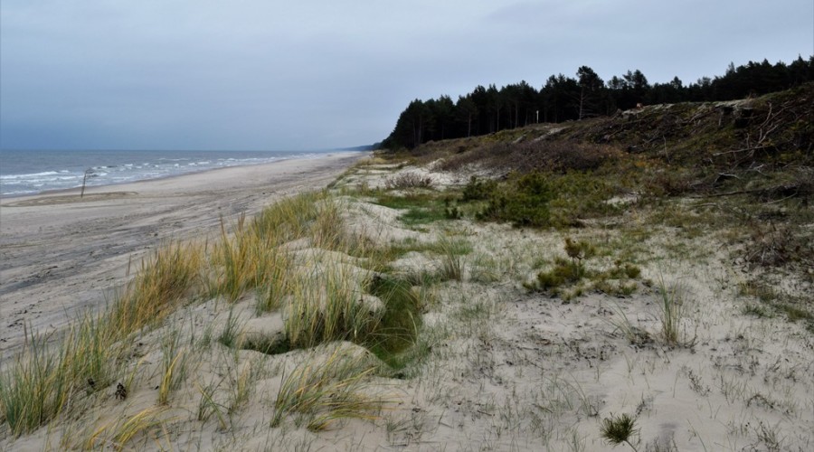 przekop mierzei wislanej (18)