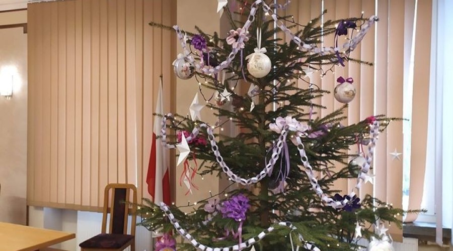 Starosta Nowodworski choinka (2)