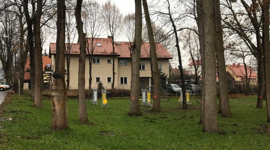 otwarta strefa aktywności sztutowo (3)