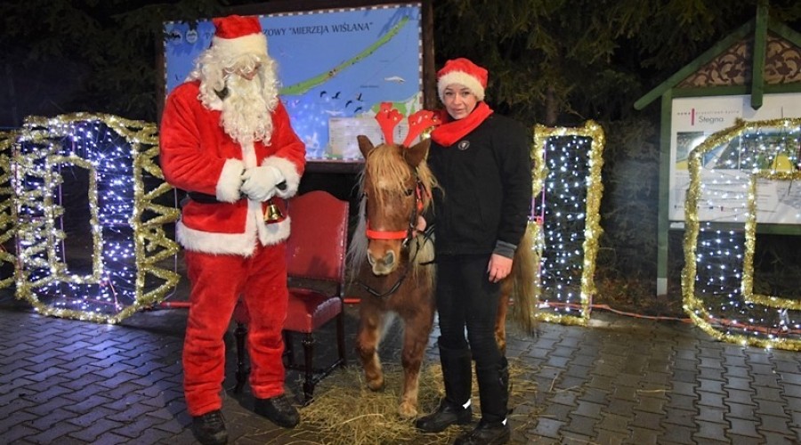 jarmark świateczny stegna (40)