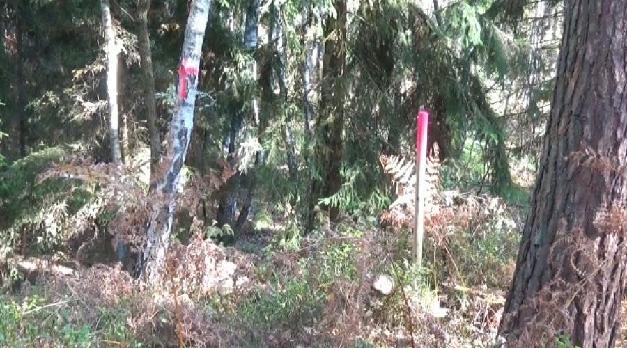 przekop mierzei wiślanej  (20)