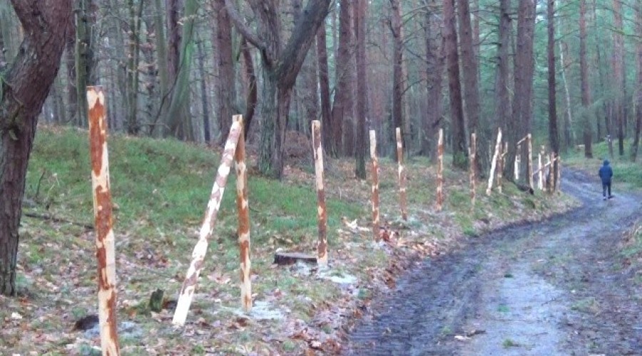 przekop mierzei wiślanej  (22)