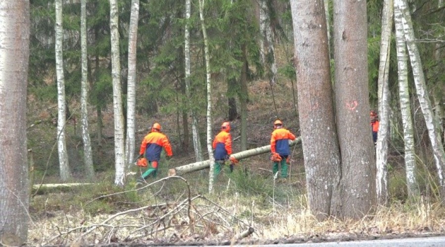 przekop mierzei wiślanej  (25)