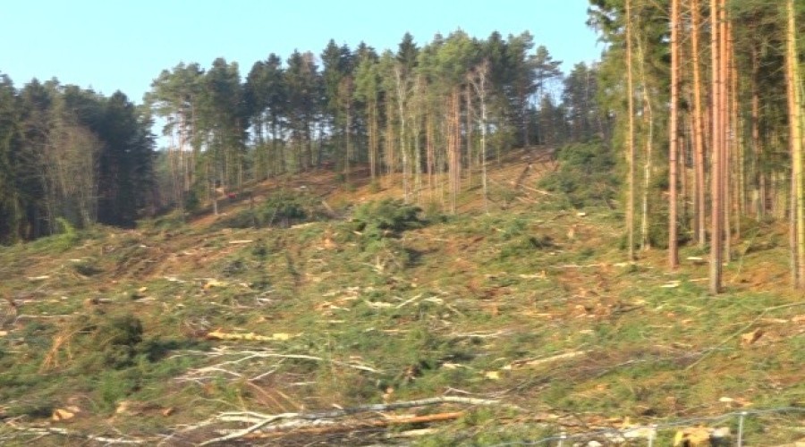 przekop mierzei wiślanej  (42)