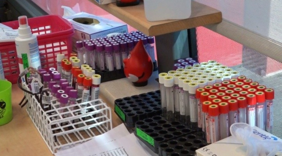 sztutowo ultrakrew (4)