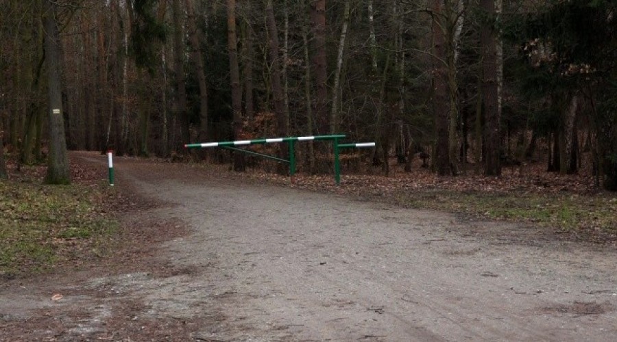 ścieżki rowerowe gmina stegna (17)