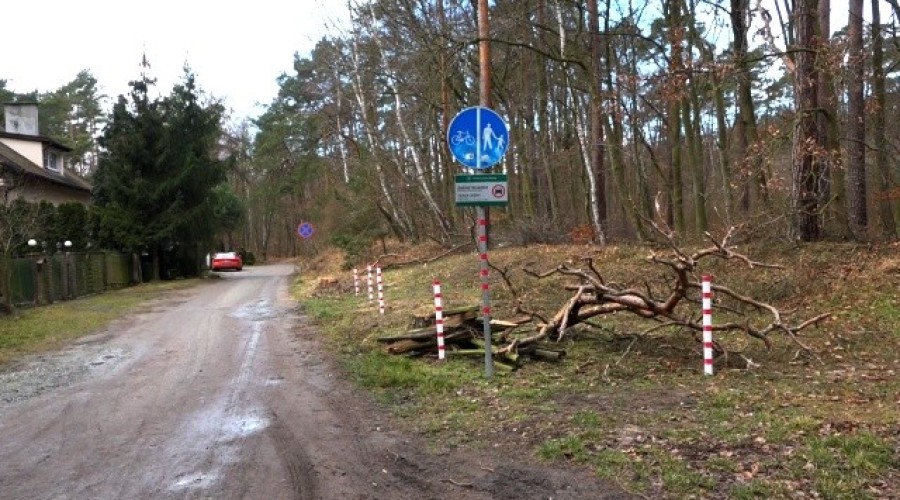 ścieżki rowerowe gmina stegna (5)