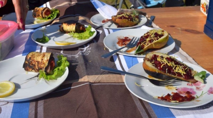 zlot klasyków stegna 2017 (33)