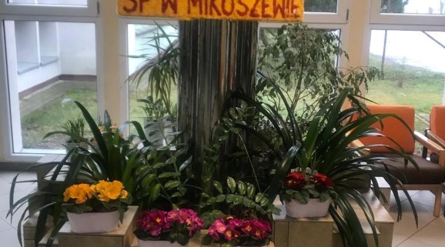 mikoszewo dzień otwarty (11)