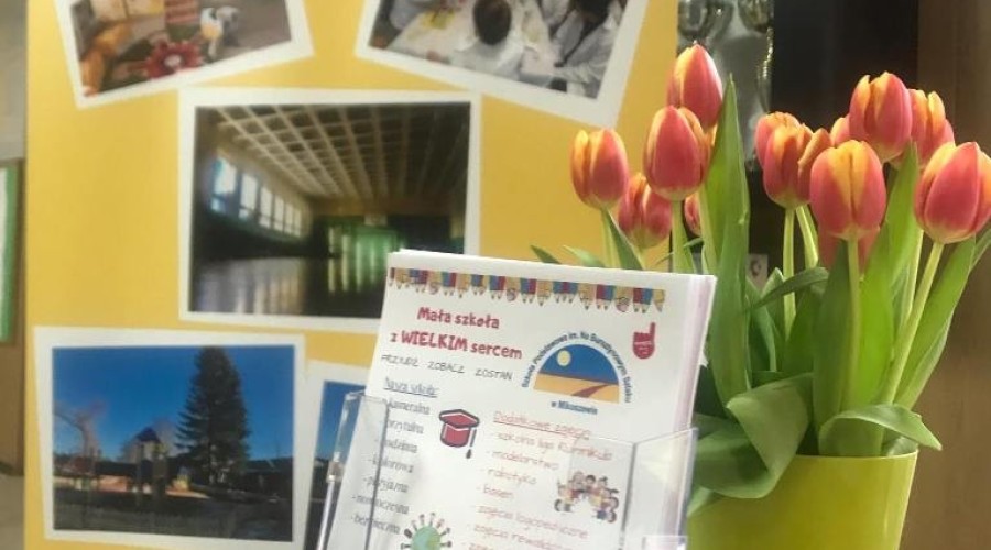 mikoszewo dzień otwarty (16)